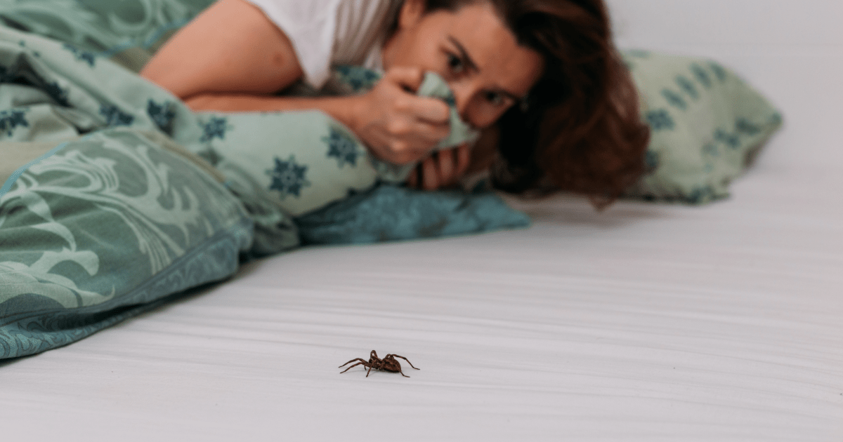 Woman scared by a spider Pest Control in Seminole, FL