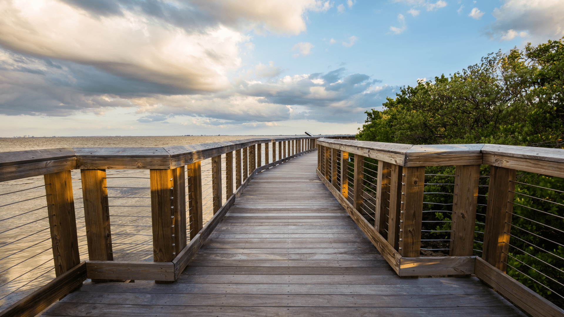 Soles Exterminating offers Pest Control in Safety Harbor where this boardwalk at sunset can also be found