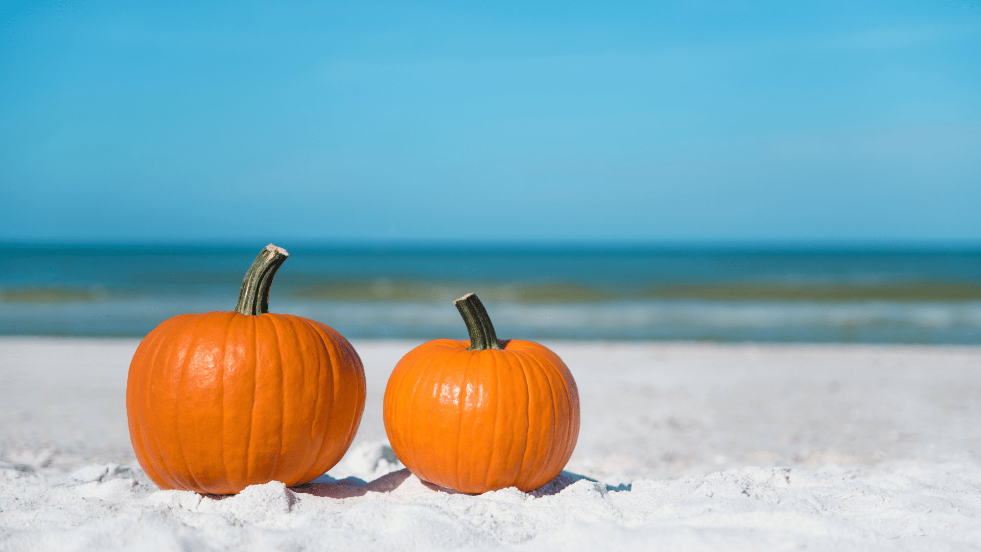 Florida Beach with two pumpkins side by side. Get ready for fall with pest control from soles exterminating